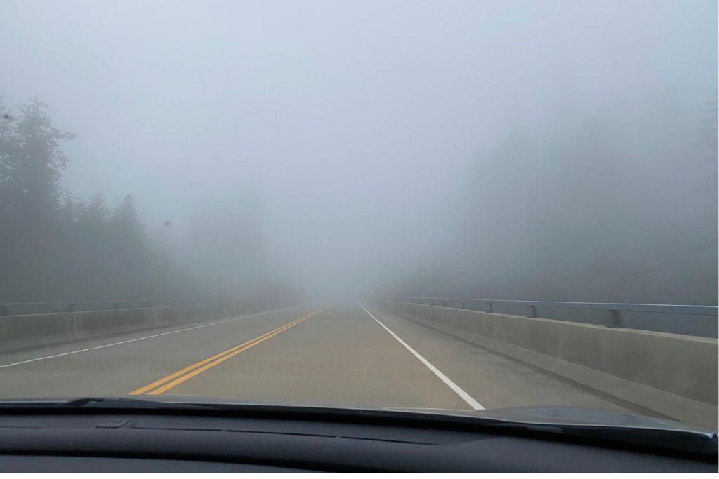The view from the car while driving through fog while following Vancouver Island on Map