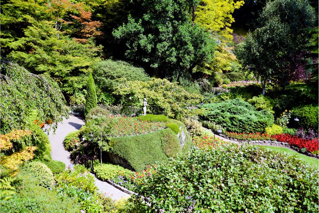 A walkway through colourful flowerbeds at Butchart Gardens,  things to do on Vancouver Island