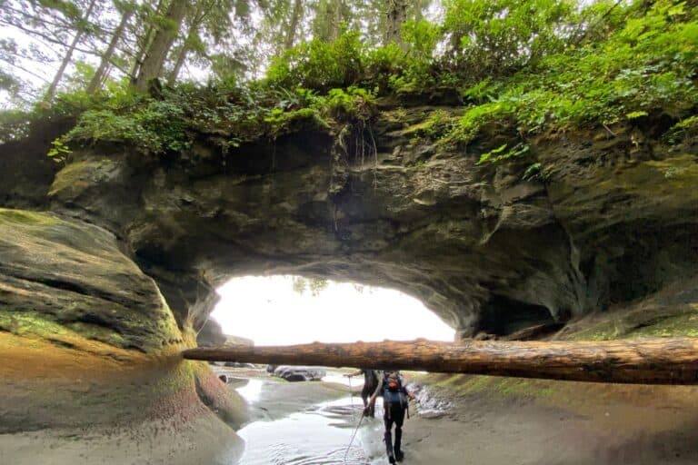 Complete Guide to Hiking the West Coast Trail [2026]