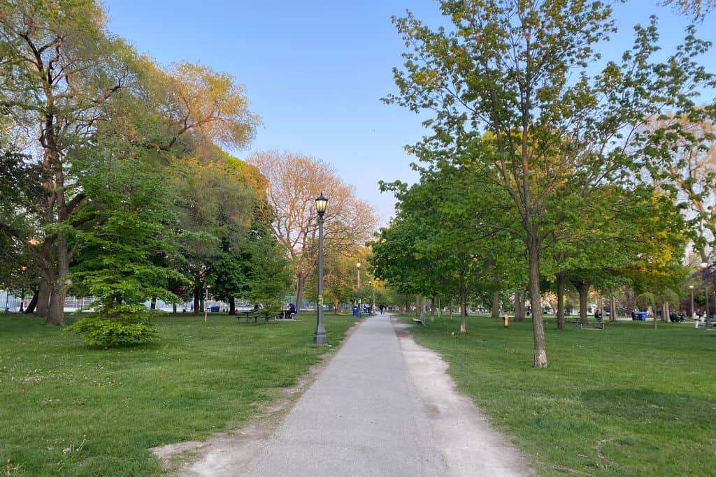 A walkway through Trinity Bellwoods Park in Toronto, lined with street lamps and surrounded by green grass and trees