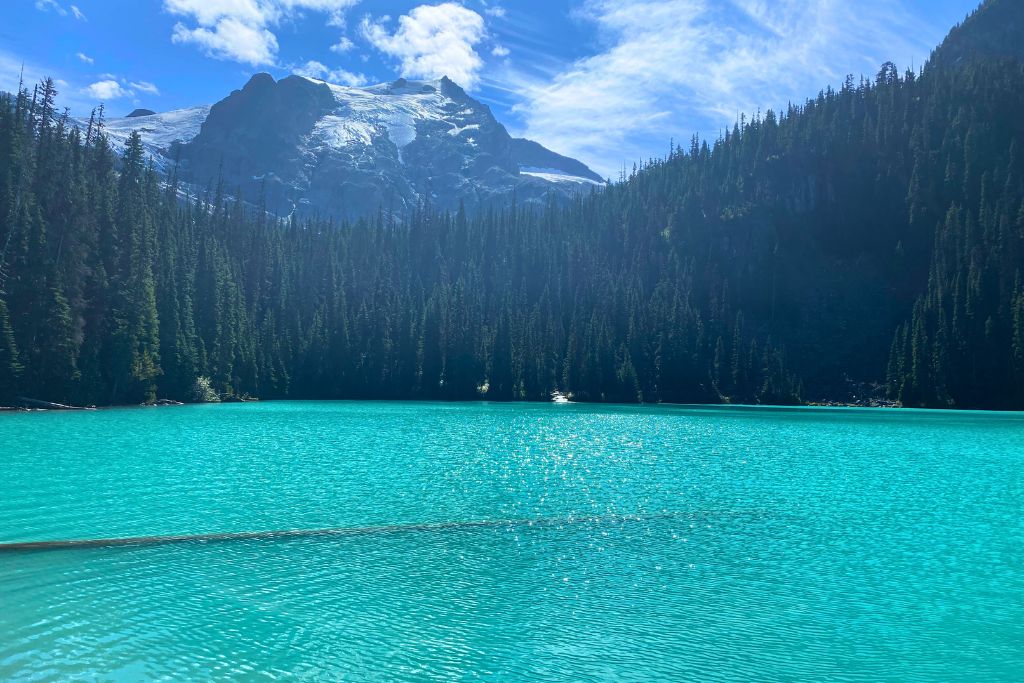 The most famous log at Joffre Lakes, laying fallen in the turquoise waters of the middle lake, with thick forest and two mountains visible in the background, across the lake.