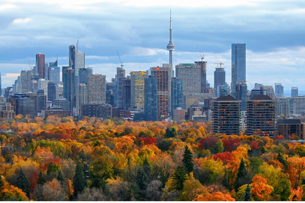 A view of the Toronto skyline behind a forest of red, yellow and green trees during the fall season.