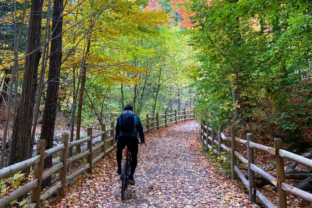 A man cycling along a bike path through a forest in Toronto during fall.