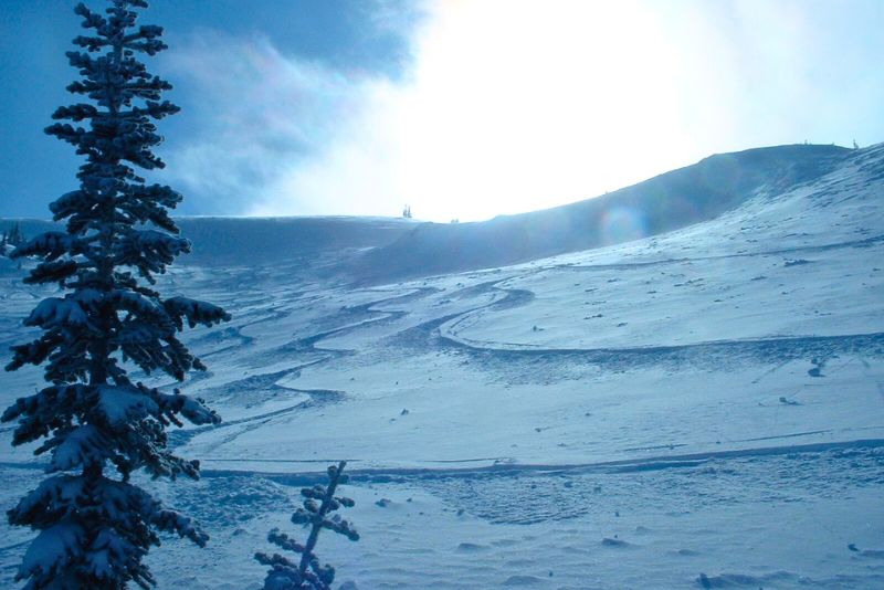 Fresh powder at Big White ski resort in BC, Canada. Credit: Mitchell Zuckerman via Canva.com.