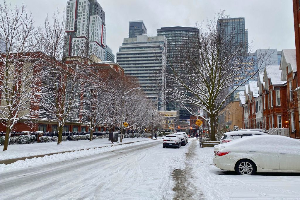 A snowy tree-lined street in Toronto and some parked cars after a fresh snowfall in February, which is one of the pros and cons of living in Canada.