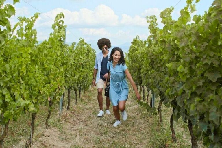 A couple exploring some vineyards on the private wine tour in Niagara-on-the-lake through Viator.