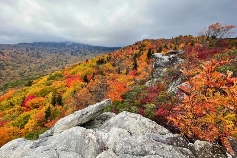 The views of colourful fall foliage from the top of the Hawksbill Summit Trail along the Blue Ridge Parkway.