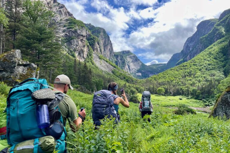 Three hikers making their way through green foliage on a backcountry trail in a valley in Gros Morne National Park.