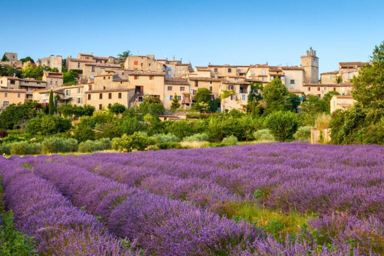 Saignon Village surrounded by lavender fields in Vaucluse Region, Provence, France.