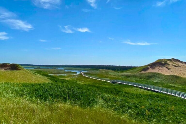 The marsh boardwalk on the Greenwich Dunes Trail in Prince Edward Island National Park.