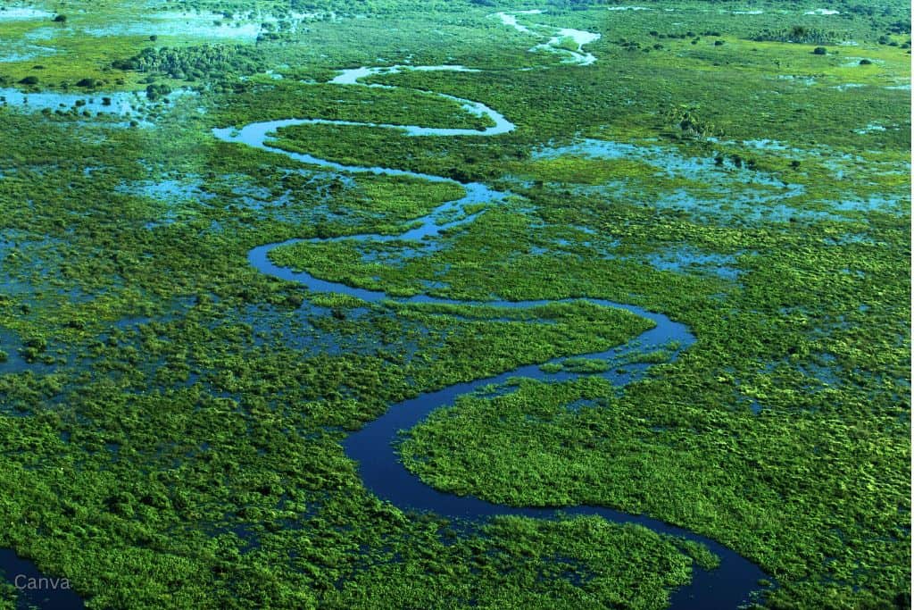 Aerial view of the wetlands of the Pantanal in Brazil. Photo by Fernando Quevedo via Canva.com