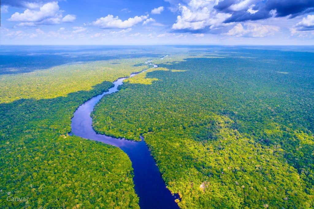 Aerial view of the Amazon River and rainforest in Brazil. Photo by mantaphoto via Canva.com.