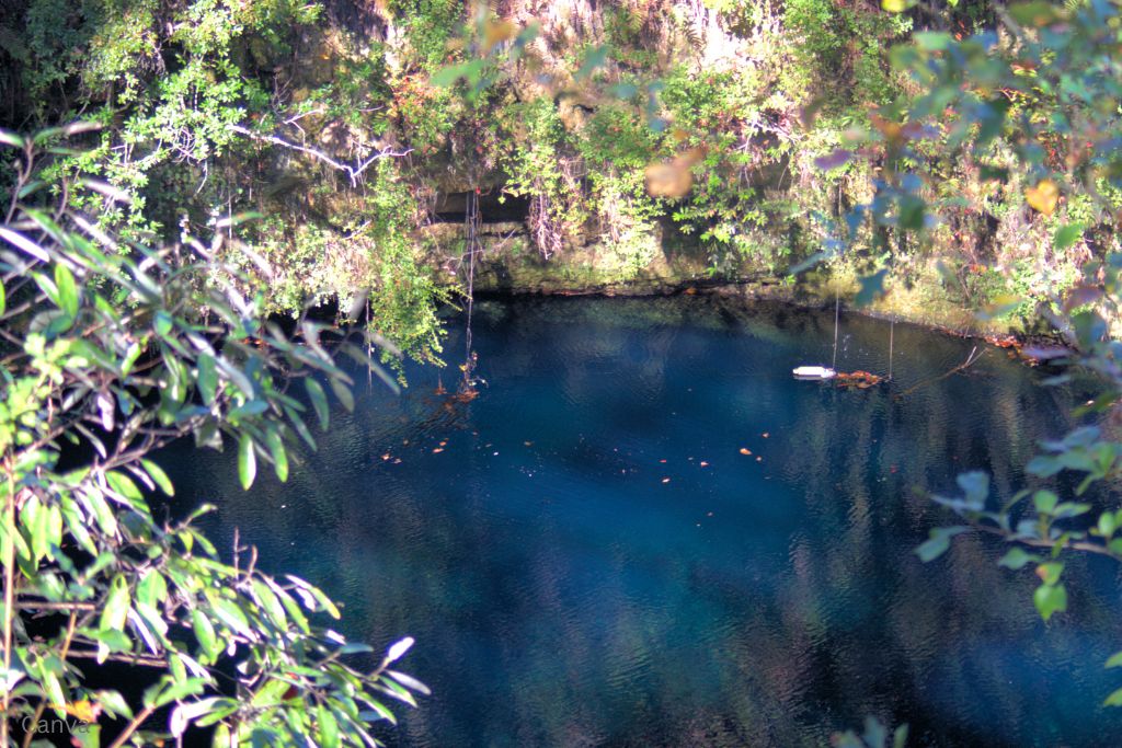 A sink hole along the Florida Trail. Photo by Christiana Fletcher via Canva.com.