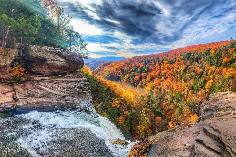 A waterfall with fall foliage in the background in the Catskills, New York. Photo by Carrie Thompson via Canva.com.