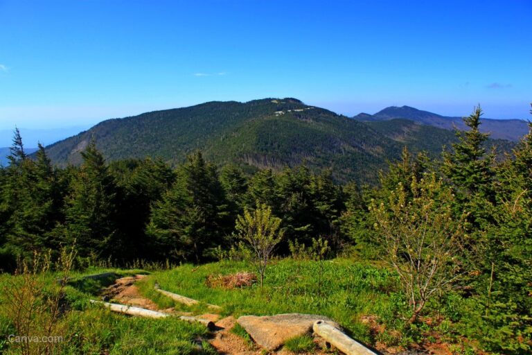 Mount Mitchell, the highest summit in the eastern USA. Photo by James Robert via Canva.com.